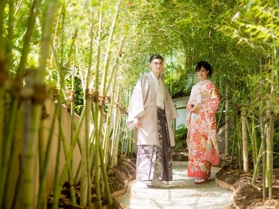 竹の葉がさざめく参道など、日本の美しさが五感で感じられる撮影スポットが豊富