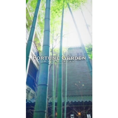 ＜京都の中心地にありながらも緑溢れる特別な空間＞<br>【庭】一年を通して緑があふれる庭