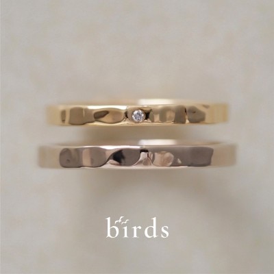 birds air~きみの風~