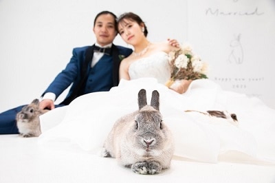 結婚式 ペット うさぎ