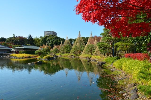 庄内緑地公園