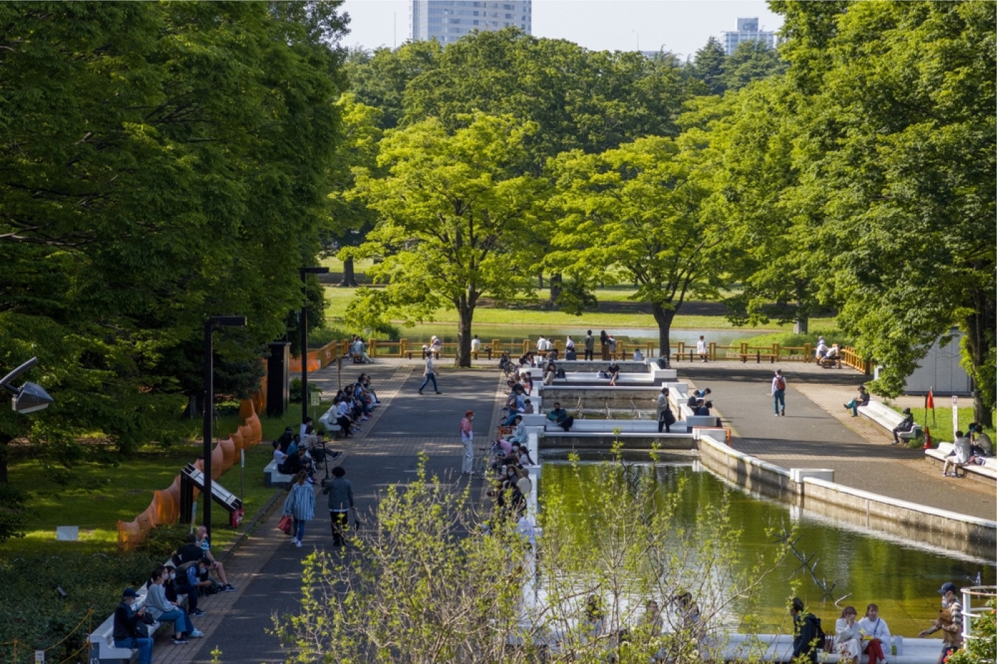 代々木公園