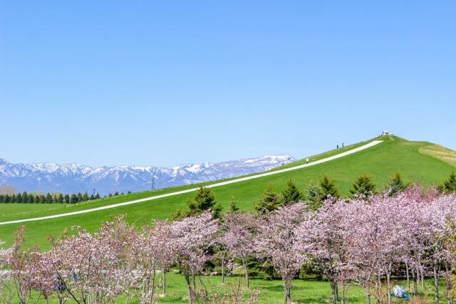 モエレ沼公園