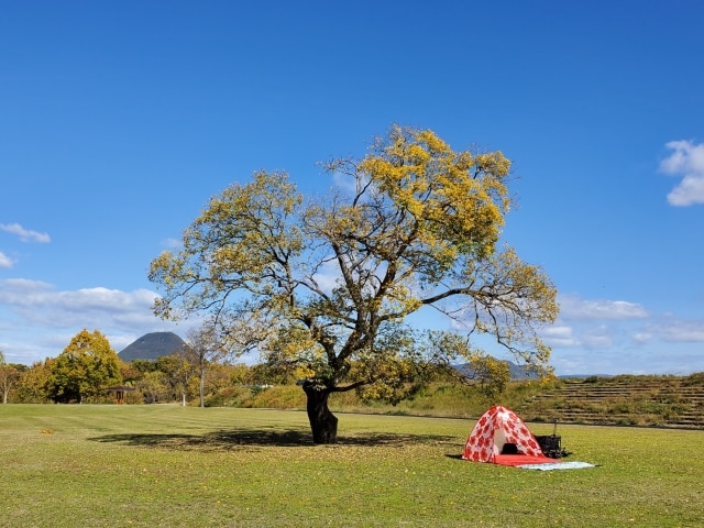 土器川生物公園