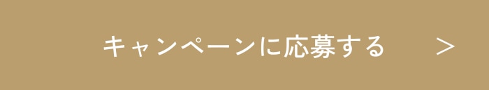 ボタンについて