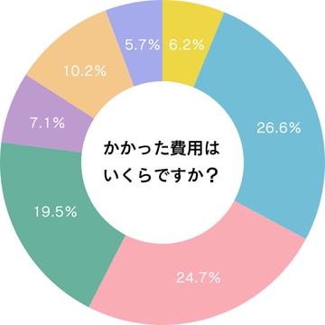 グラフ（かかった費用はいくらですか？