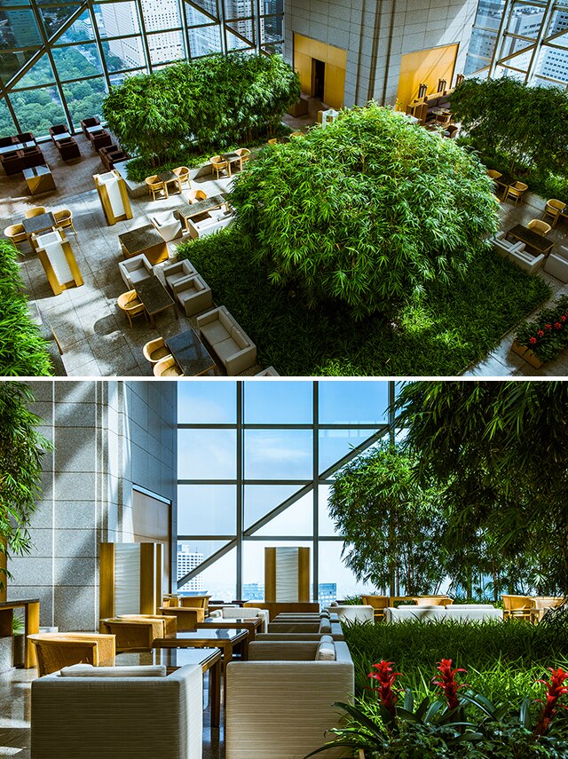 パーク ハイアット 東京 Park Hyatt Tokyo