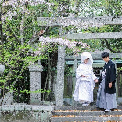 神社の敷地内では沢山の撮影スポットが・・・<br>【挙式】「春日神社」での神前式／（着席～40名）