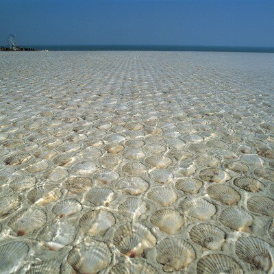 100万個の貝殻が敷き詰められた貝の浜では涼しげなリゾート雰囲気を