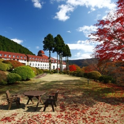 秋の庭園も必見！湖畔の紅葉と真っ白な富士山はお写真映えもバツグンです<br>【外観】外観(赤い屋根が目印のクラシカルホテル)