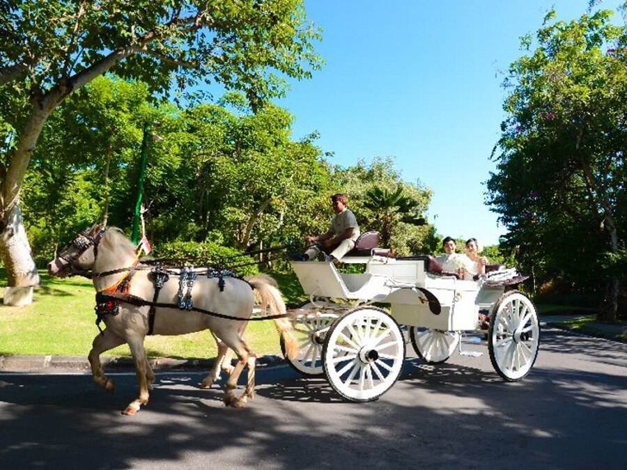 バリ島　アヤナリゾート　馬車で巡るフォトツアー