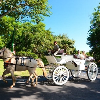 アヤナリゾート挙式でとっても人気の馬車でのフォトツアー！