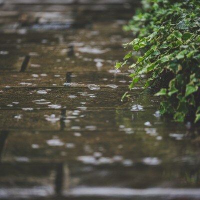 <br>【庭】紫水苑の自然豊かな庭園