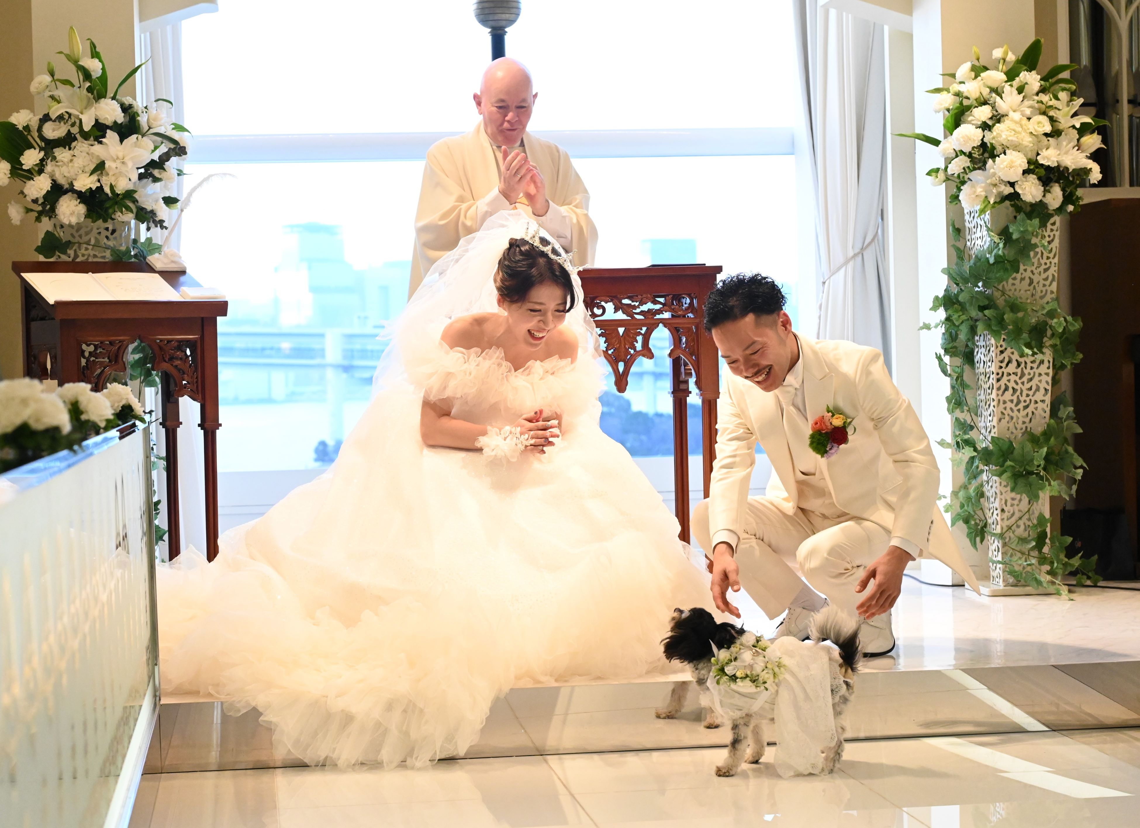 犬ドレス