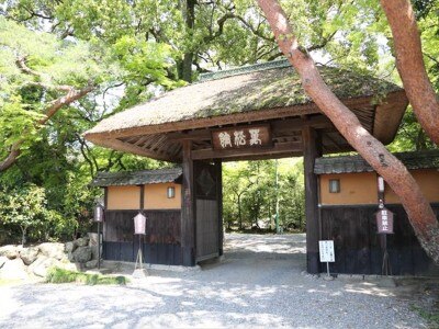 樹齢を重ねた木々に守られた茅葺屋根の門は、歴史ある寺社や武家屋敷のような佇まい