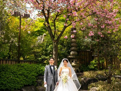 付帯設備 新型コロナウイルス感染症への対策についてのフォト 写真12枚 八芳園 マイナビウエディング