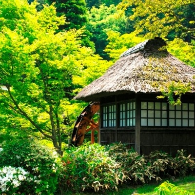 日本庭園×水車小屋<br>【庭】庭園