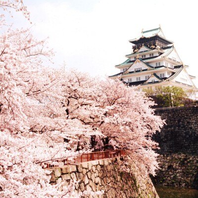 桜いっぱいの春ならではのロケーション×和装の組み合わせは最高に素敵な写真ばかり！<br>【ドレス・和装・その他】ロケーションフォト