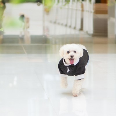 <br>【挙式】【With Dog Wedding】愛犬と一緒に叶える挙式