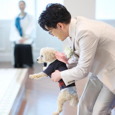 <br>【ドレス・和装・その他】家族の一員、愛犬とのウエディング！