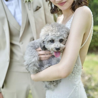 <br>【付帯設備】【ペットウエデイング】「愛犬と一緒に結婚式をしたい」というお声に応えた、ペットと一緒のウエディング
