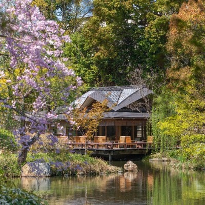 約800年の歴史を持つ庭園「積翠園」を館内の至るところから楽しめるのも贅沢<br>【庭】日本庭園「積翠園」