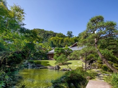 よく手入れされた自然との調和が美しい日本庭園は、造園界で名高い斎藤一夫博士が監修