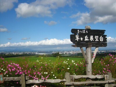 北海道を代表する人気スポット・羊ヶ丘展望台。羊の毛刈りなどイベントもたくさん♪