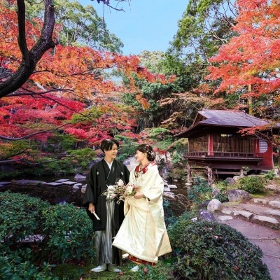 多彩な花木がある庭園は、手入れがしっかりと行き届いている<br>【庭】日本庭園
