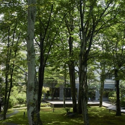 森に囲まれた上質な空間<br>【外観】軽井沢の恵みが育む　寛ぎのホテルならではのおもてなし　ホテル・外観