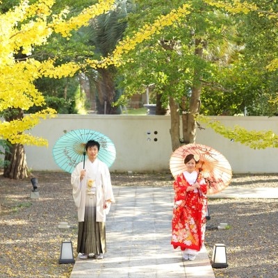 イチョウ並木の合間を続く参道を通って、神殿へ。敷地内では本格的な神前式もかなう<br>【ドレス・和装・その他】広大な敷地で前撮りを楽しんで