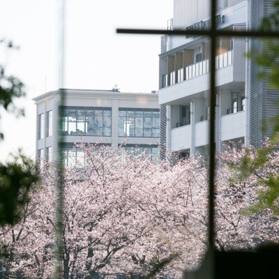 3月。チャペルの窓から見える桜が綺麗でした