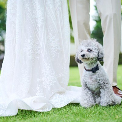 <br>【付帯設備】ペットも一緒に！「愛犬と一緒に」という願いに応える、家族みんな一緒のウエディング