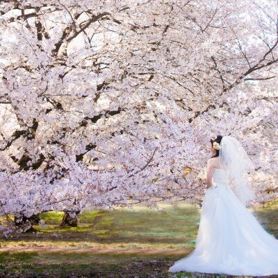 砧公園は桜の名所。春は、桜の淡いピンクと純白のドレスが幻想的な一枚をぜひ残して<br>【庭】〈当日のロケーションフォトが叶う〉