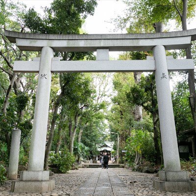 1212年、鎌倉時代に創建された佐々木八幡宮。石畳が続く参道を抜け、厳かな本殿へ<br>【外観】堂々とした佇まい