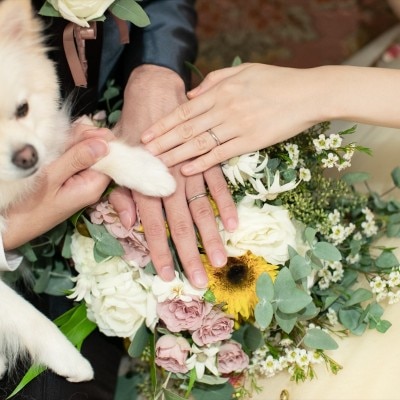 <br>【挙式】大好きなわんちゃん・ねこちゃんと叶う結婚式♪