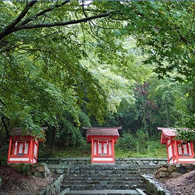 新緑から深緑へ移ろう心潤す木々。境内にはさつき、ツツジ、桜など季節の花が咲き誇る<br>【挙式】吉備津神社