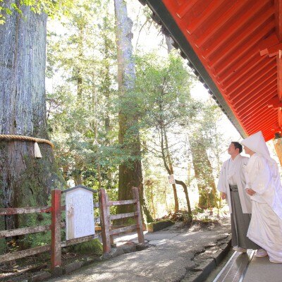パワースポットになっている安産杉<br>【挙式】【神前式】～伝統の箱根神社～　定員：20名