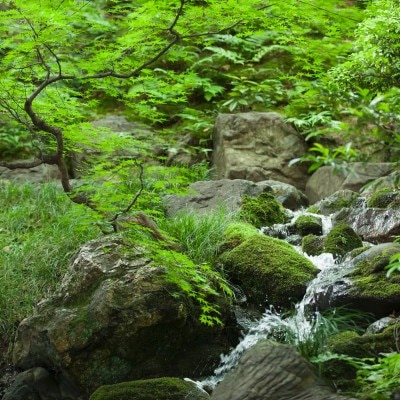 自然の地形の高低差を生かした三段の滝が流れる雄大な回遊式庭園「葵殿庭園」<br>【披露宴】披露宴会場「稔りの間」／40～60名