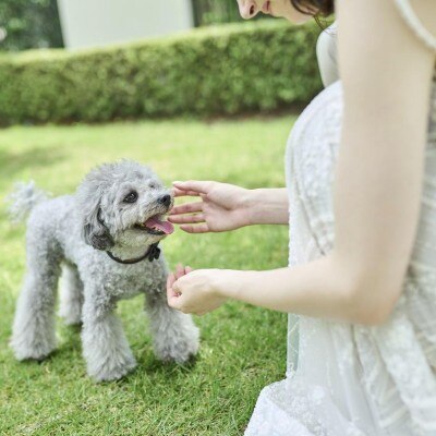 <br>【付帯設備】ペットも一緒に！「愛犬と一緒に」という願いに応える、家族みんな一緒のウエディング