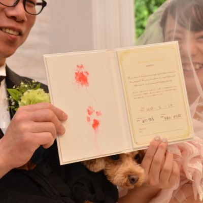 【承認犬】マシュマロちゃんとレンくんに、結婚証明書に肉球スタンプを押してもらいました。