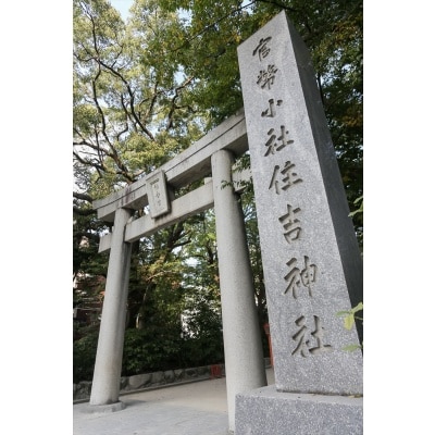 最古の住吉神社と云われ、古書にも「住吉本社」「日本第一住吉宮」と記された場所<br>【庭】自然豊かな境内