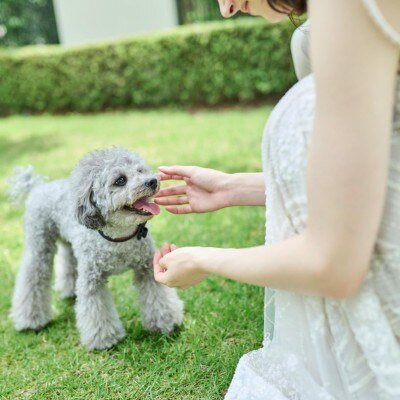 <br>【付帯設備】ペットも一緒に！「愛犬と一緒に」という願いに応える、家族みんな一緒のウエディング