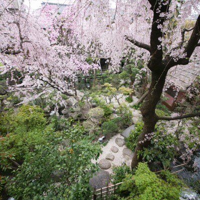 <br>【庭】日本庭園