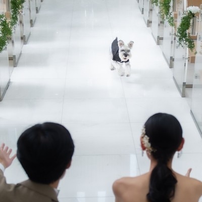 <br>【挙式】【With Dog Wedding】愛犬と一緒に叶える挙式