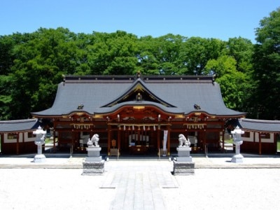 和婚プランが新登場、諏訪神社で憧れの結婚式を。