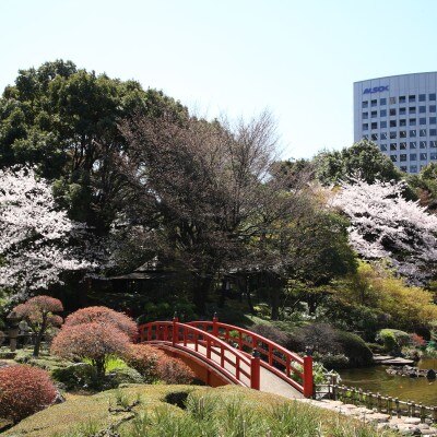 <br>【庭】日本庭園【春】