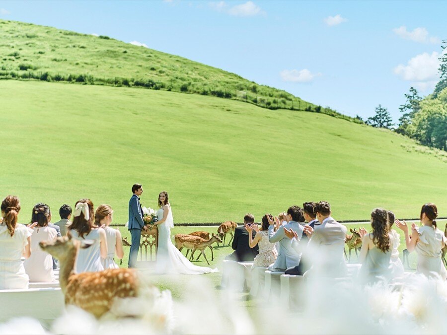 挙式 若草山ウエディングやガーデンウエディングも素敵のフォト 写真3枚 The Hilltop Terrace Nara ザ ヒルトップテラス奈良 マイナビウエディング