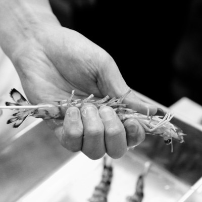  <br>【料理・ケーキ】食通ゲストも満足の美食コースでおもてなし