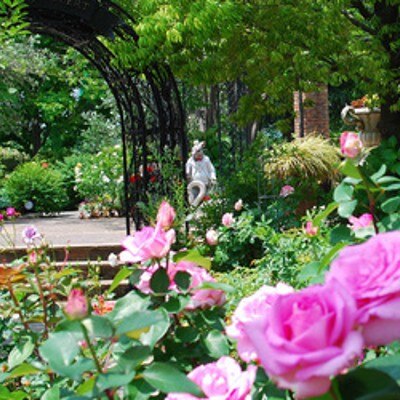 春の盛りを彩るのは、色とりどりの香り高いバラの花々<br>【庭】ガーデン